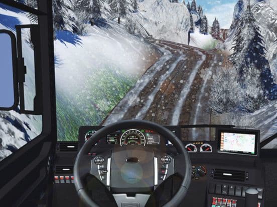 Truck Driver Cargo 2