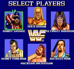 WWF Superstars screenshot 3