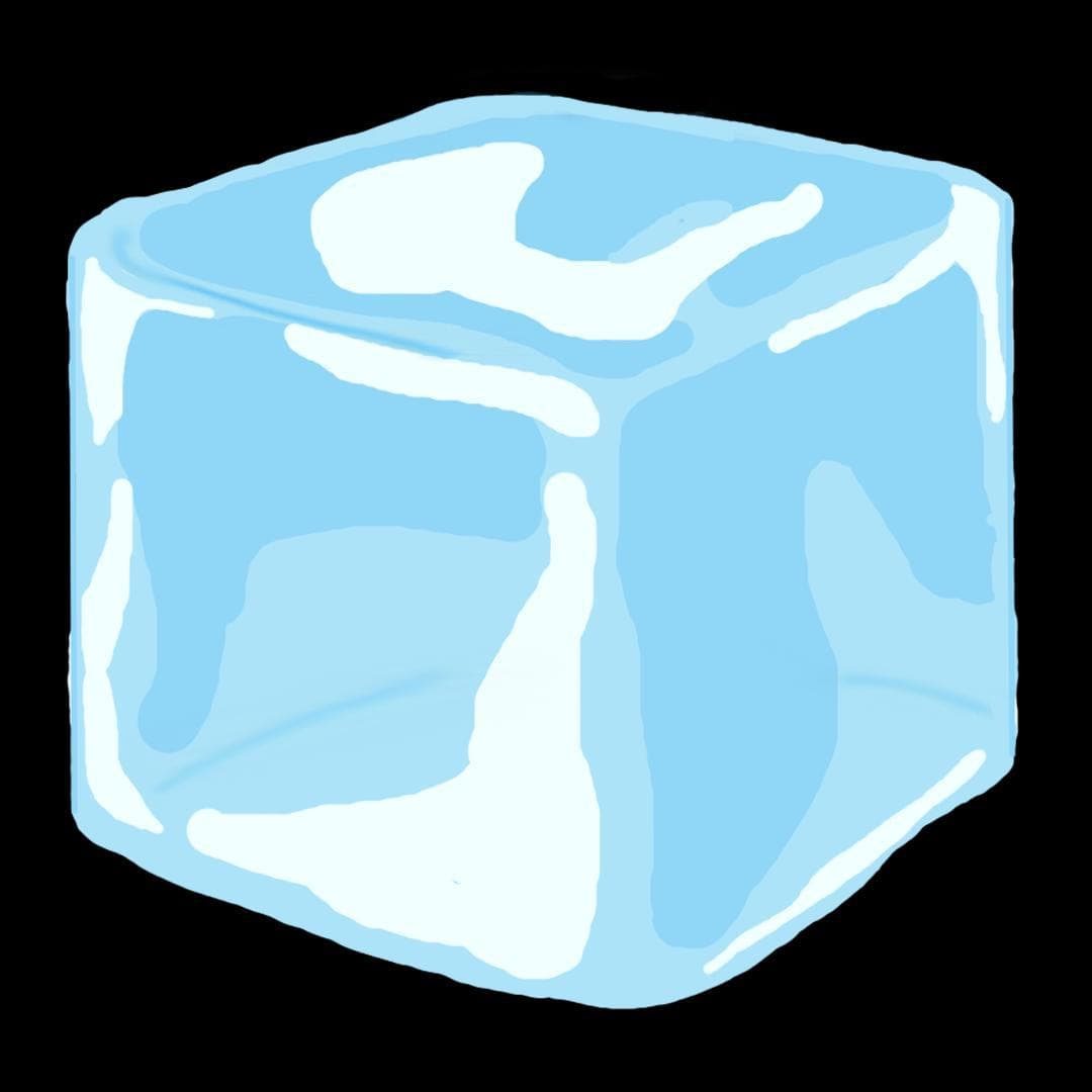 The Icebreaker