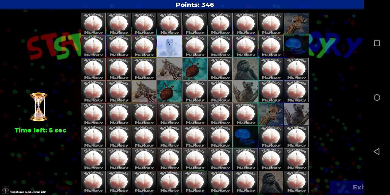 Standard Memory screenshot 5