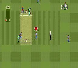 Super International Cricket