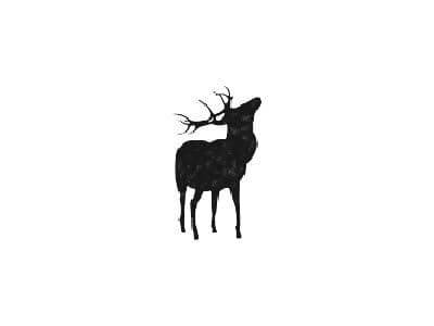 Forest by Yanis