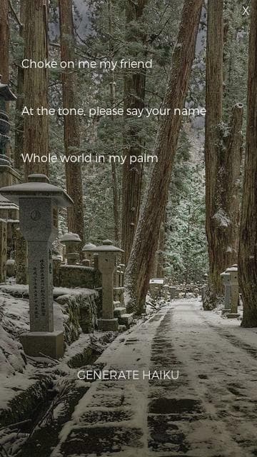 Haunted Haiku Generator screenshot 2