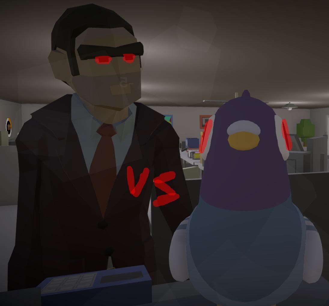 Pigeons Vs The Court