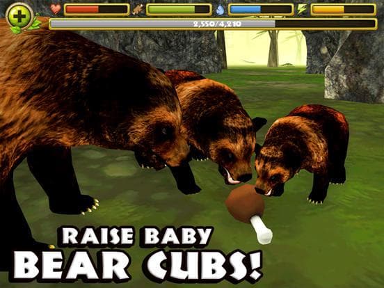 Wildlife Simulator: Bear screenshot 4
