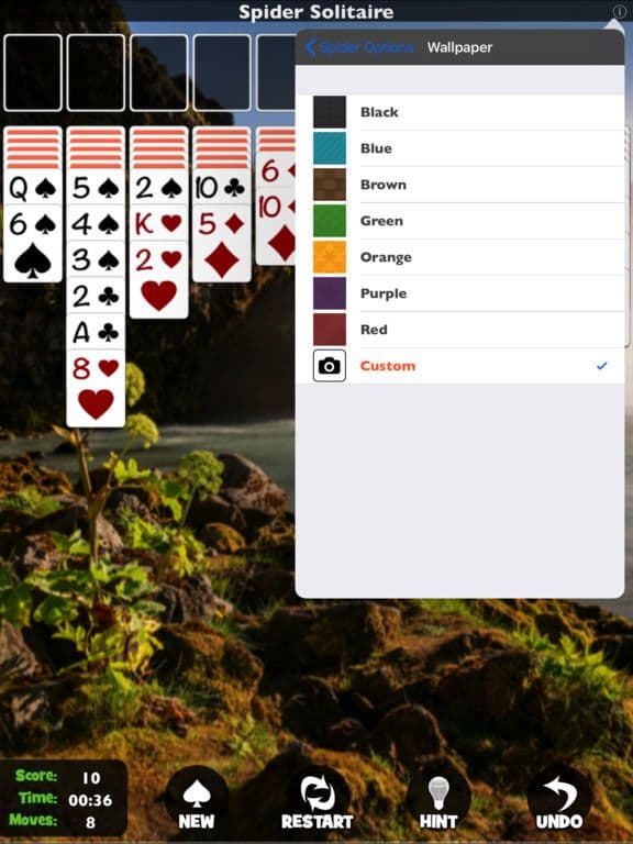 Spider Solitaire by Pokami