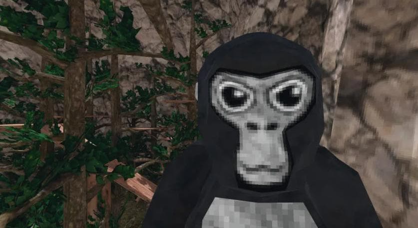 Monkey tag