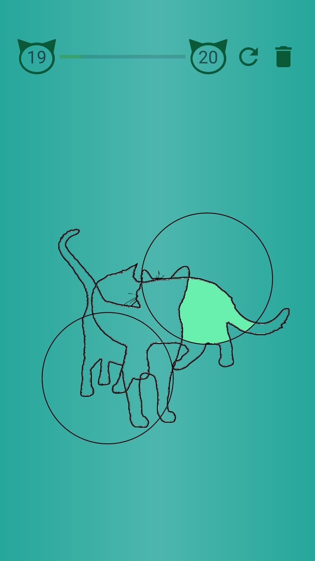 Mint cat
