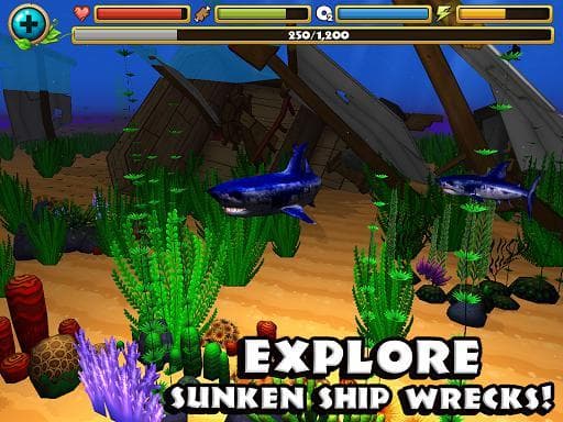 Wildlife Simulator: Shark