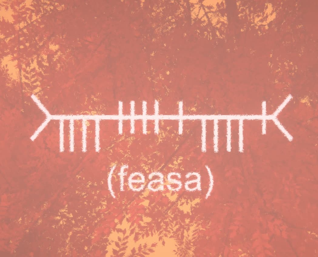 ᚛ᚄᚓᚐᚄᚐ᚜ (Feasa) screenshot 5
