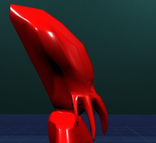 Porifera_week7