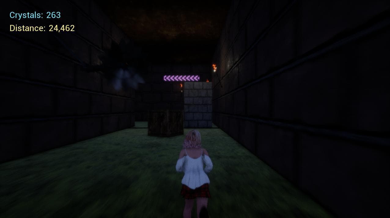 Endless Corridor (JoyGameZ) screenshot 3