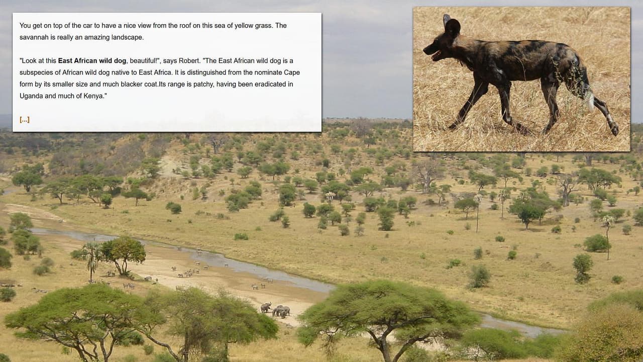 Choose Your Own Safari Adventure screenshot 3