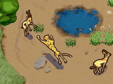 SimAnimals Africa screenshot 5