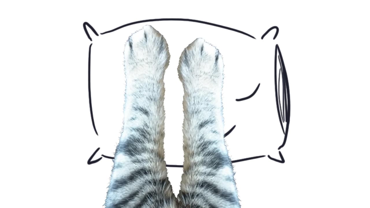 Amusing Catventures screenshot 3