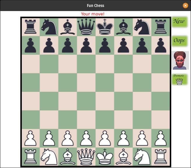 Fun Chess