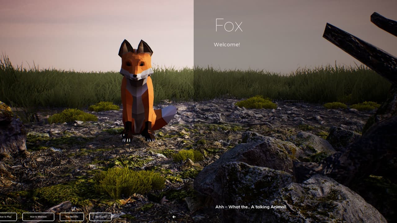 PLAYNE screenshot 2