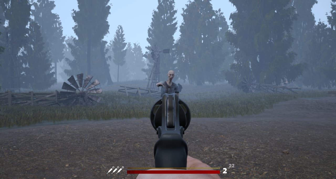 Wild West Z