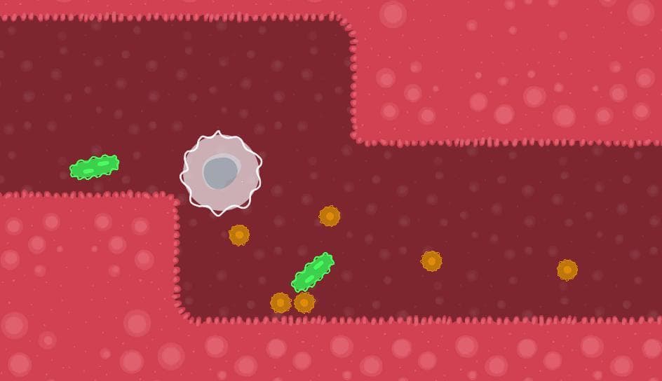 Globulator screenshot 3