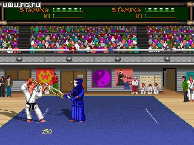Budokan: The Martial Spirit screenshot 2