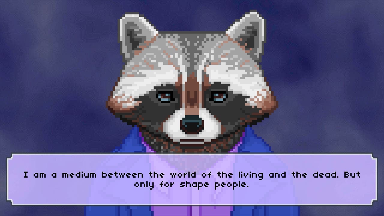 The Raccoon Who Lost Their Shape screenshot 2