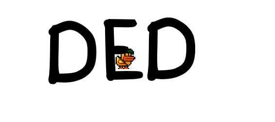 DuckDash(dev)