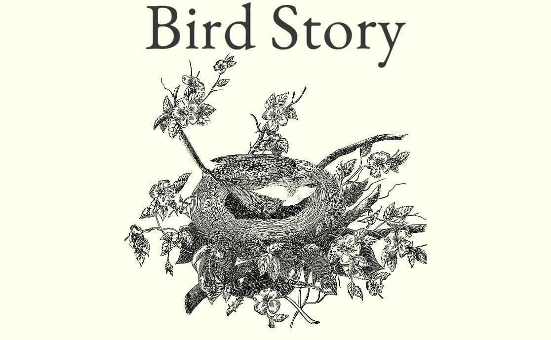 Bird Story