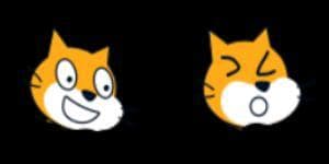VS SCRATCH CATTT FULL WEEK UPDATE