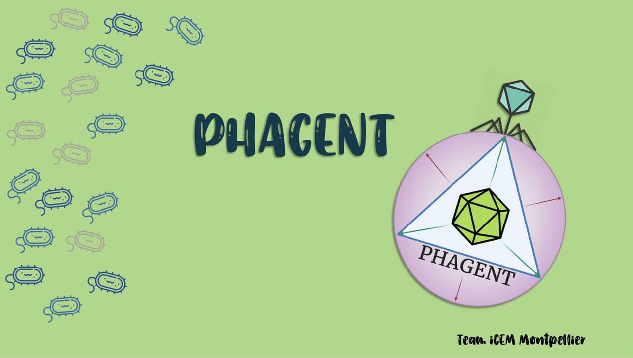 Phagent