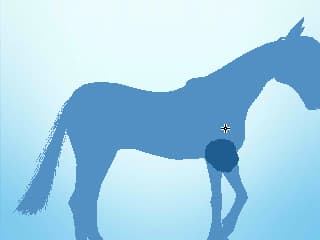 My Riding Stables 3D - Jumping for the Team screenshot 6