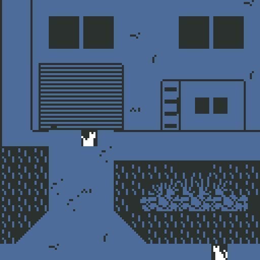 a cats guide to an old home