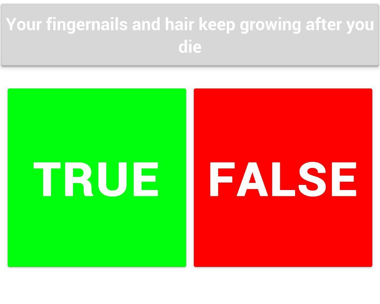 True or False (itch) screenshot 2