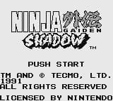 Ninja Gaiden Shadow screenshot 2