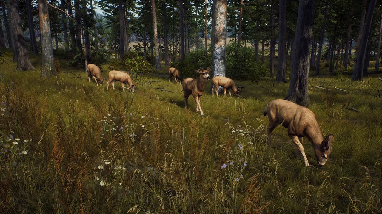Way of the Hunter screenshot 5