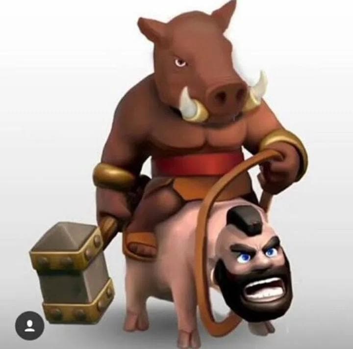 hogsu!