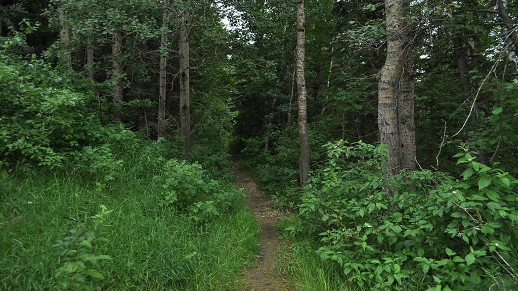 Return (GregWS) screenshot 2