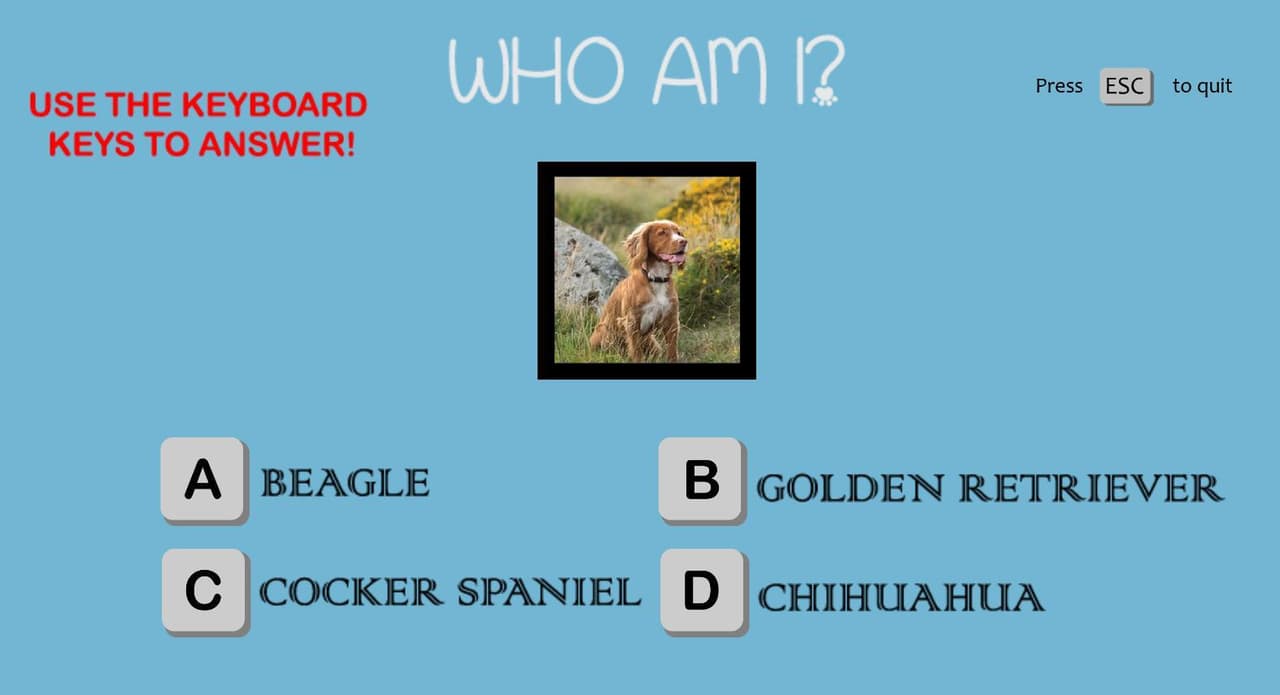 Who Am I? (Elisheva)