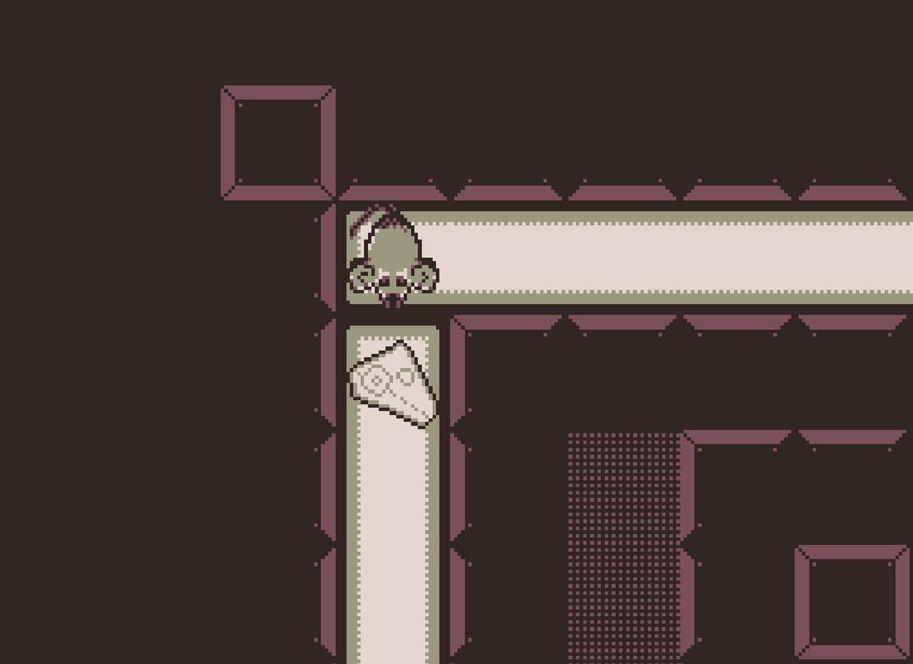 mouse in a maze