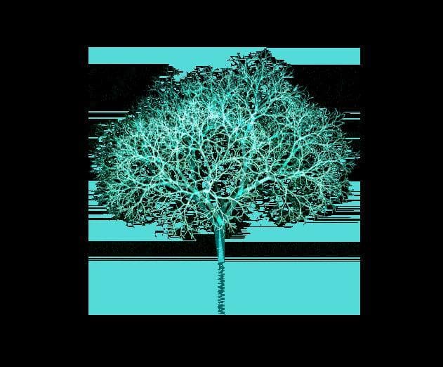 What Trees Were