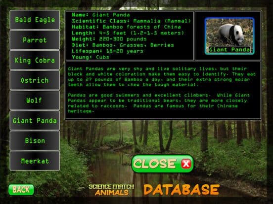 Science Match Animals screenshot 5