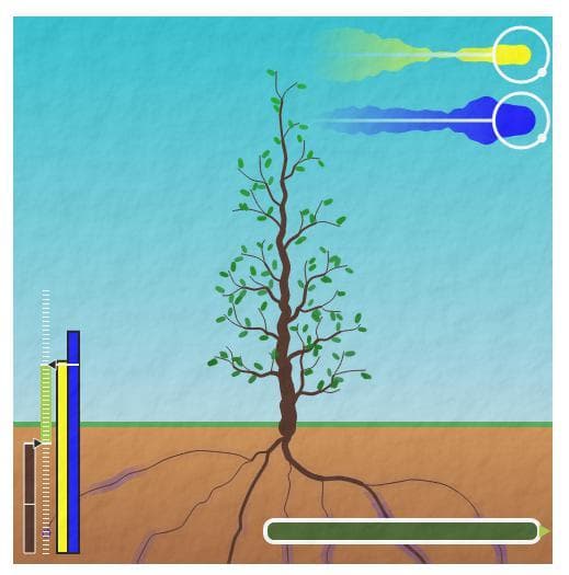 Treelogy screenshot 2