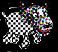 Drug Dog