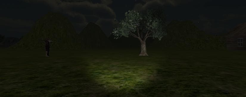 Night Run (carolnivo)