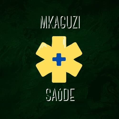 Mkaguzi Saude