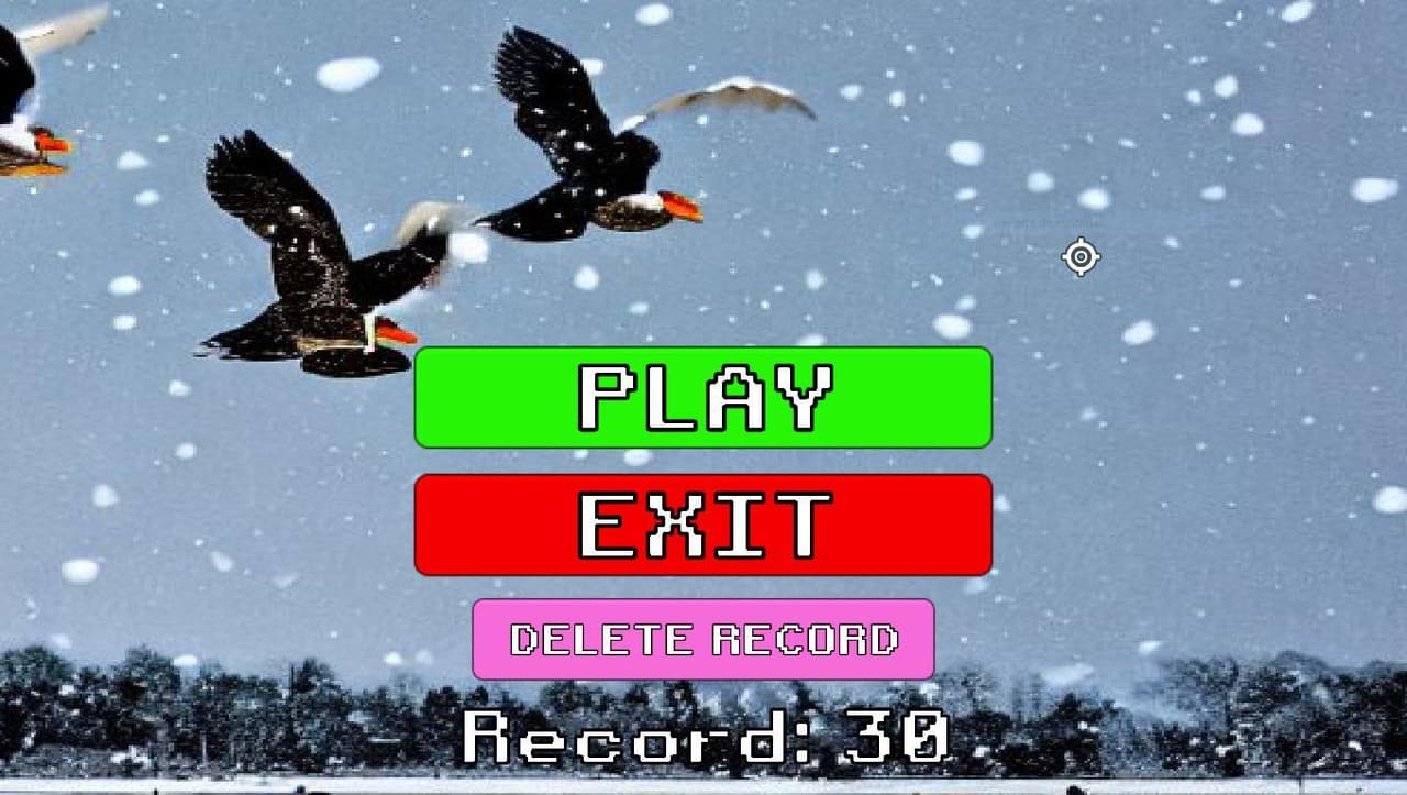 FinalPractice_DuckHunter22 screenshot 2