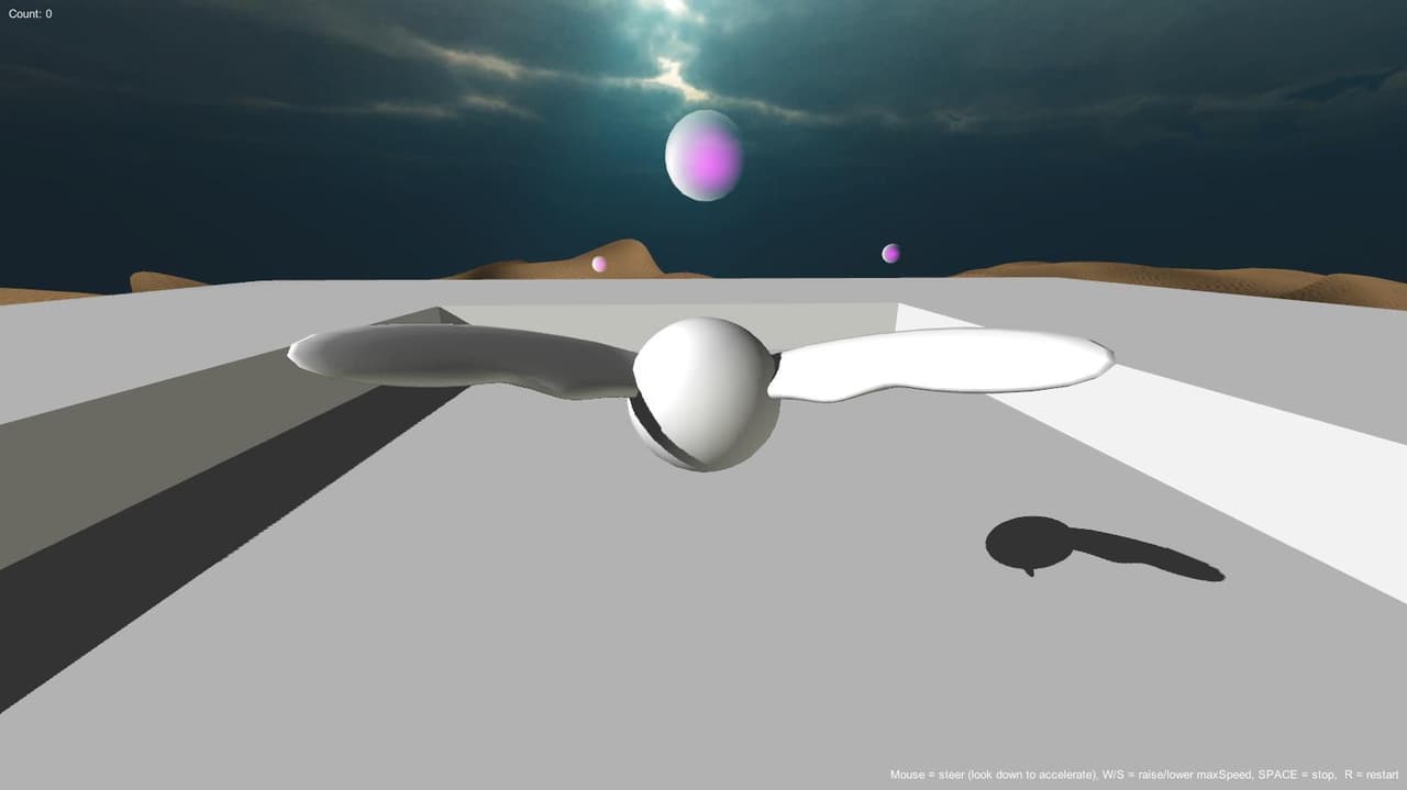 Bird Project screenshot 3