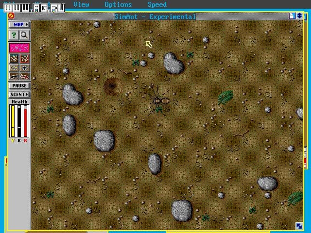 SimAnt screenshot 2