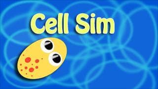 Cell Sim