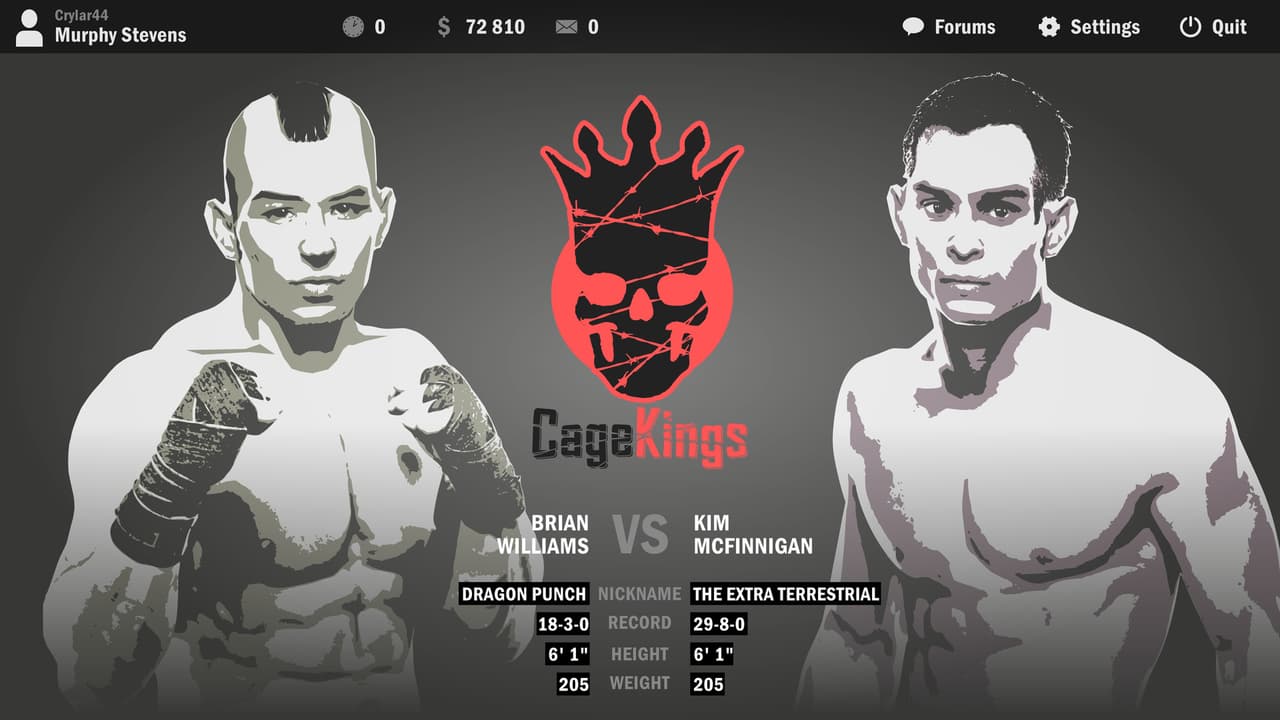Ultimate Fight Manager 2016 screenshot 4