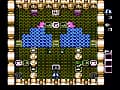 ADVENTURES OF LOLO 2 screenshot 2